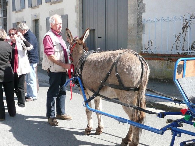 carnaval 01 avril 2012 (34).jpg